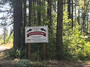 Property grounds - Maple Valley Hummingbird Studio (Maple Valley)