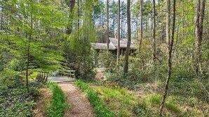 Ein bewaldetes Gebiet mit einer Hütte und einer Holzterrasse.