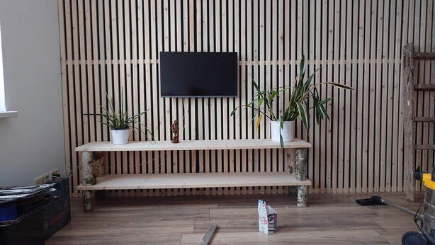 A room with a wooden slat wall, a mounted flat-screen TV, two white shelves with potted plants, and a wooden floor. - Ferienwohnung Brunow ,,kerstin" In der Natur Zuhause (Neundorf(bei Schleiz))