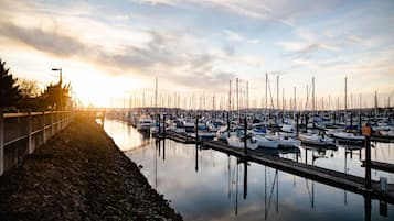 Marina