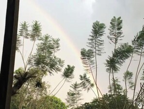 Beach - The Tree House B&B, Aburi, The Nature Retreat! (eastern region)