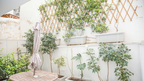 A patio with a table, potted plants, and a climbing vine wall. - 350m from museum of Acropolis a cozy & quit house (Αθήνα)