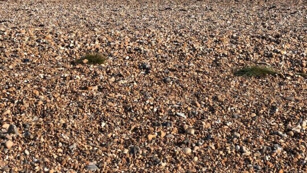 A pebbled beach with waves in the background. - 3 By The Sea, Ground Floor Apartment By The Sea (Worthing)