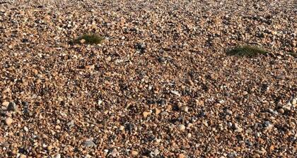 3 By The Sea, Ground Floor Apartment By The Sea