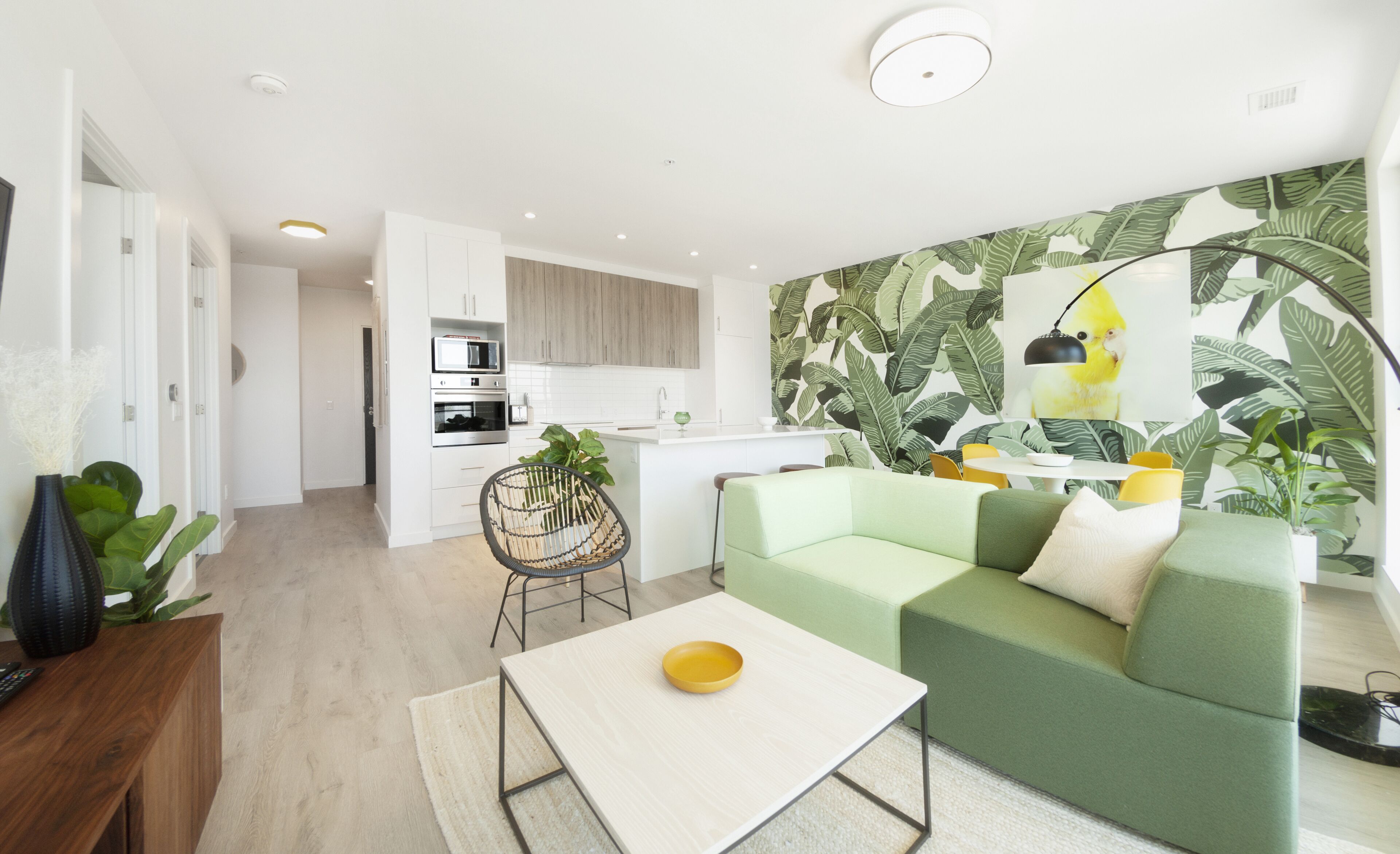 华丽公寓 | 起居区 | 55-英寸智能电视（配备数码频道）、电视、Netflix