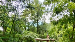 A rustic wooden signpost in a lush garden with a herringbone-patterned fence and a gravel path. - Pigeon Forge Getaway Near Dollywood / LeConte / The Island (Pigeon Forge)