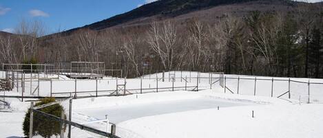 A snow-covered outdoor area with a fenced enclosure, a small tree, and a mountain in the background.
