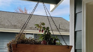 A wooden hanging planter with plants, suspended by chains, hanging from a building's exterior. - Judkins Park Light Rail Townhouse Haven (Seattle)