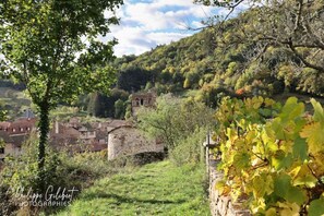Property grounds - Large, charming family home in the beautiful Auvergne village of Blesle (Blesle)