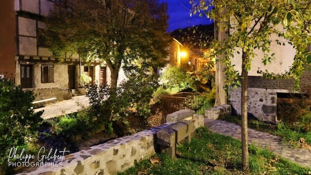 A stone pathway leading to a building with a traditional facade, surrounded by greenery and trees. - Large, charming family home in the beautiful Auvergne village of Blesle (Blesle)