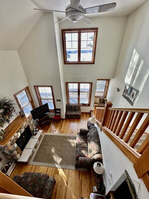 Televisión, chimenea y reproductor de DVD