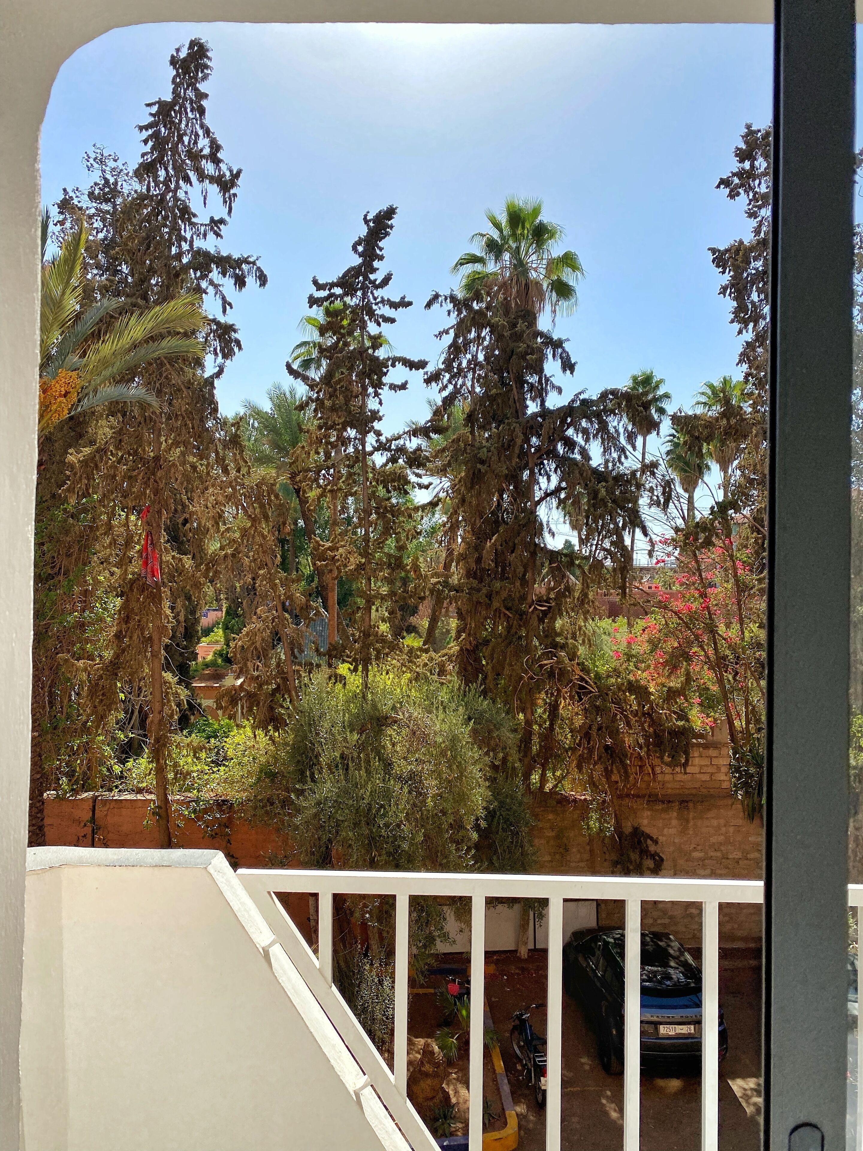 Ein Balkon mit Blick auf einen Garten, mit Bäumen und einem parkenden Auto.