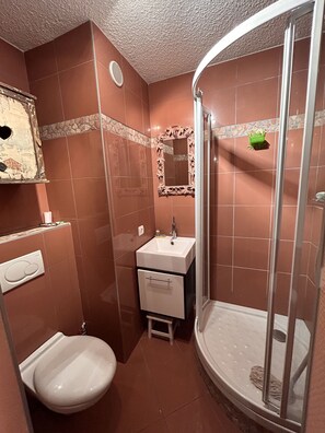 Shower, hair dryer, toilet paper
