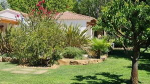 A house with a tiled roof, surrounded by a well-maintained garden with various plants and a small water feature. - Perle rare :Villa de Campagne 140 m2 avec Piscine son pool house & Grand jardin (Le Thor)