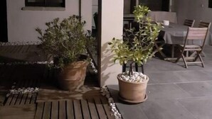 An outdoor patio area with wooden flooring, potted plants, and a dining table with chairs. - Perle rare :Villa de Campagne 140 m2 avec Piscine son pool house & Grand jardin (Le Thor)