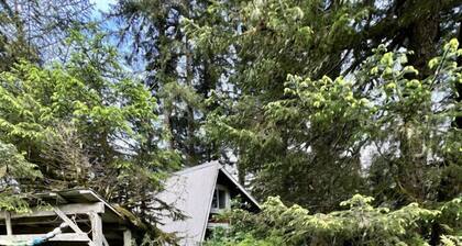 2889 Pruitt Lane - The Shoreline Cabin - An Authentic Alaskan Retreat