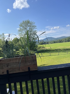 Property grounds - VT Chique Townhouse, Walk to Rec Path, Breweries & Restaurants 10 min to Resort. (STOWE)