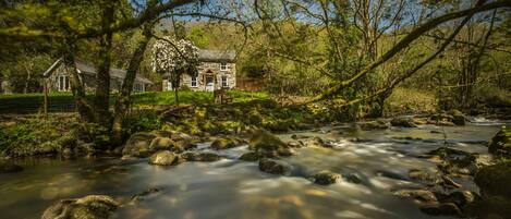 Terrein van de accommodatie