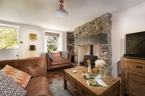 Flat-screen TV - Charming Riverside Cottage in Snowdonia National Park (Rhyd-y-sarn)