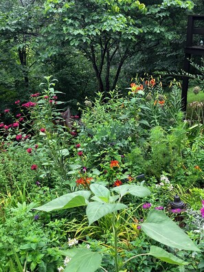 A garden with various plants and flowers, a wooden structure, and a birdhouse. - Peaceful and private cabin close to the Little Buffalo River. (Jasper)