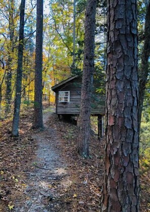 Property grounds - Peaceful and private cabin overlooking the Little Buffalo River. (Jasper)