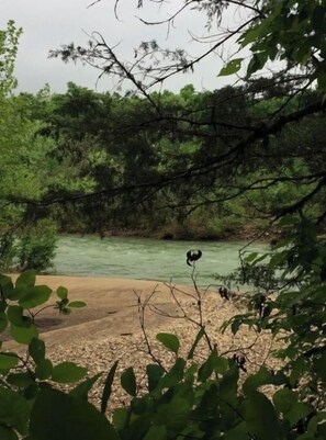 A river with dense foliage in the background.