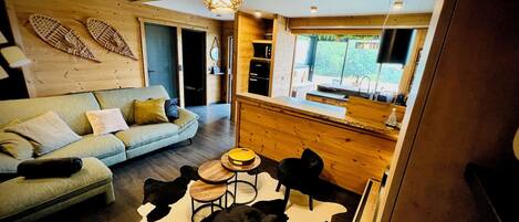 TV connectée, cheminée, lecteur de DVD