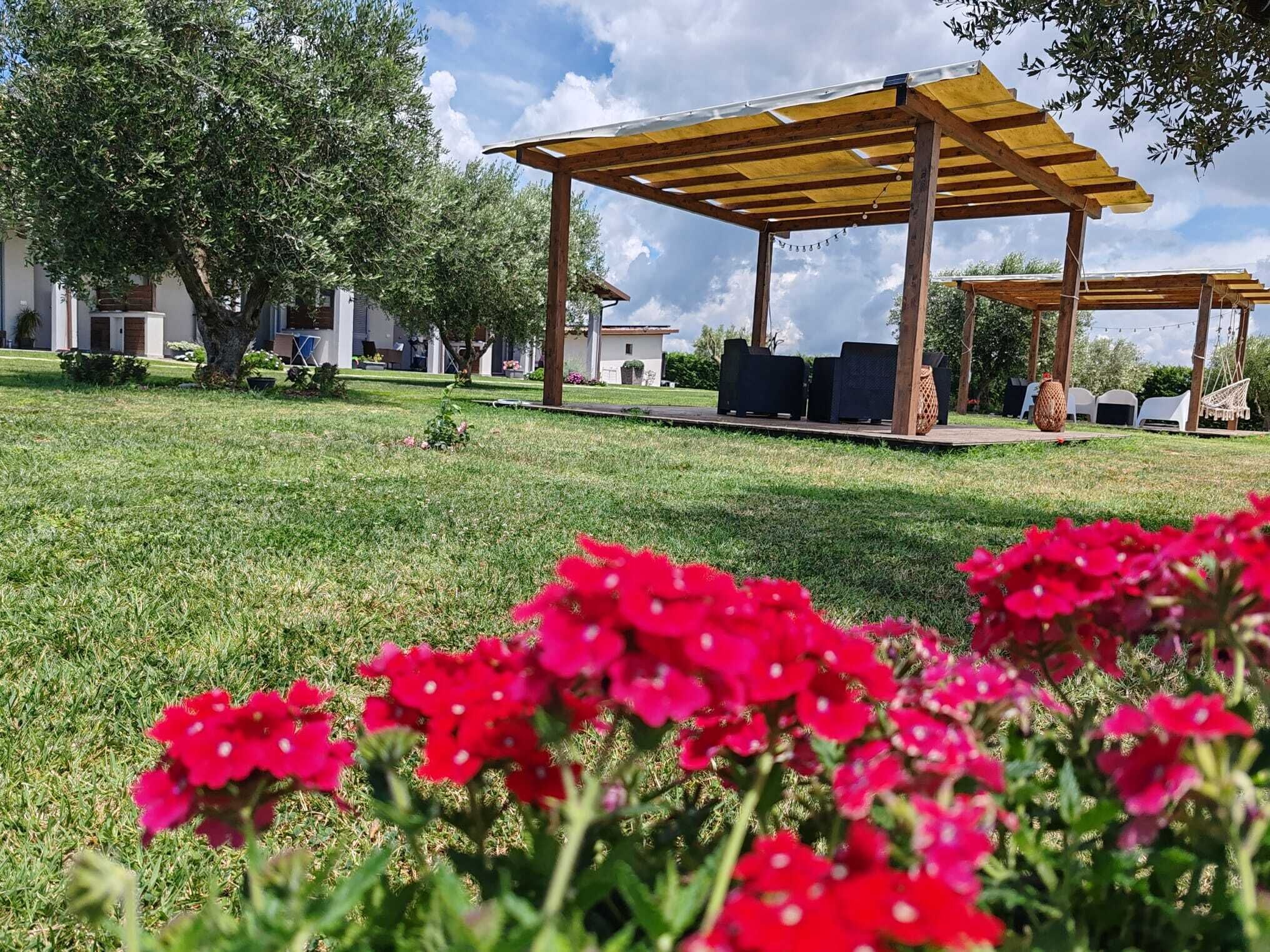 Ein überdachter Außenbereich mit Pergola, umgeben von gepflegtem Rasen und blühenden Pflanzen.