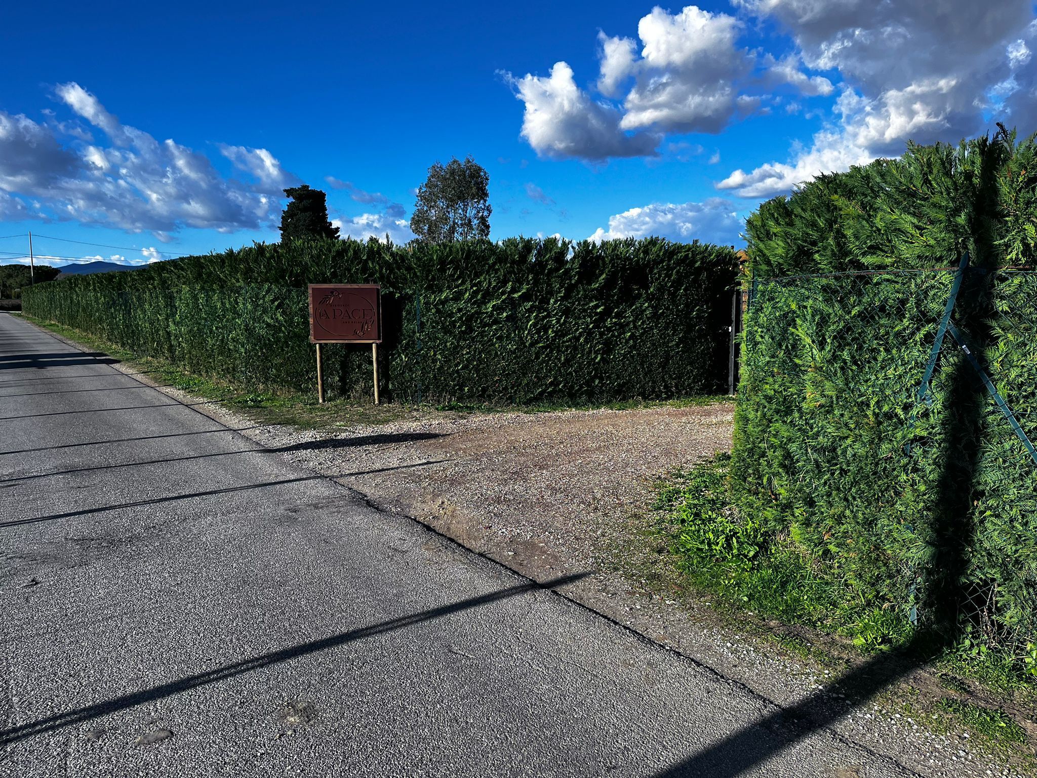 A paved road leading to a signboard with a hedge on one side.