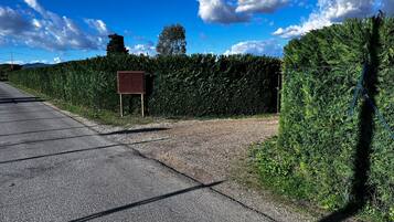A paved road leading to a signboard with a hedge on one side.