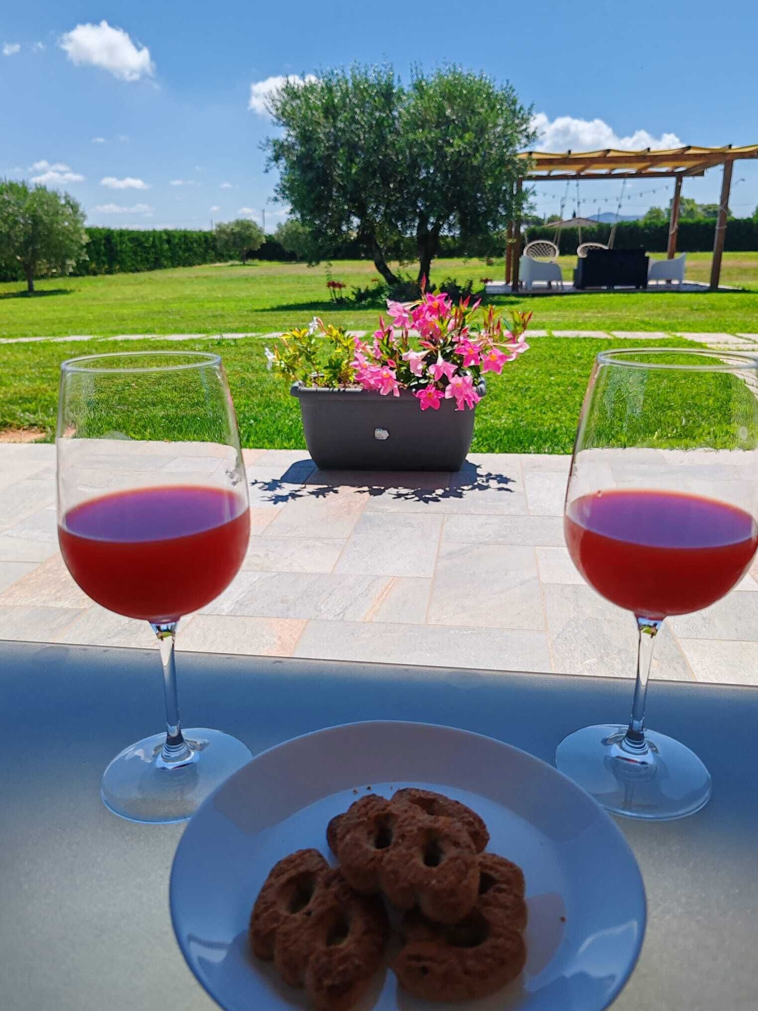 Un patio con dos copas de vino, un plato de aperitivos, una maceta y una pérgola al fondo.