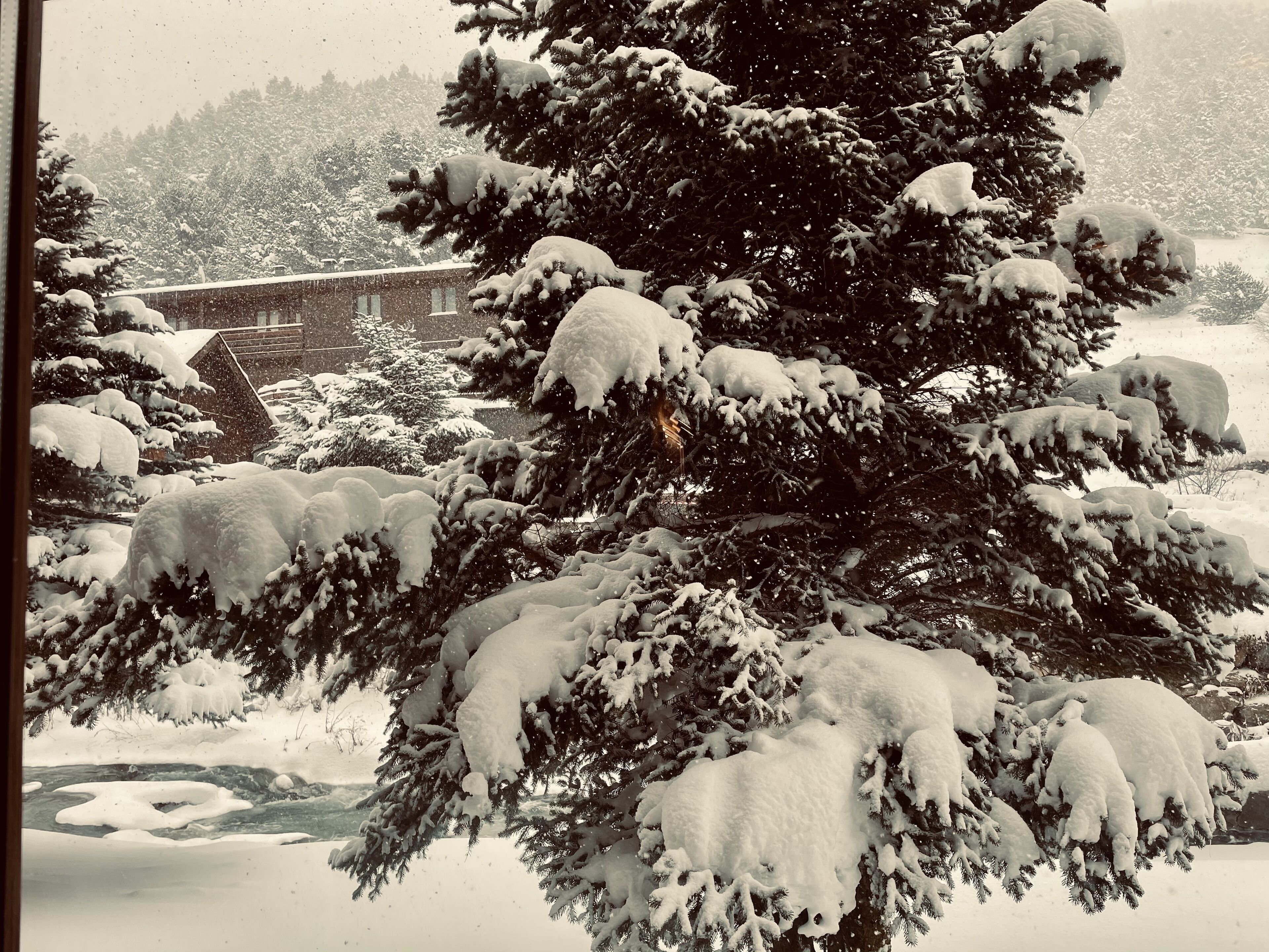 A snow-covered landscape with a large evergreen tree in the foreground, a wooden structure in the background, and a river partially covered by snow.