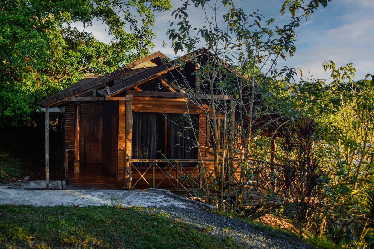 Un chalet en bois rustique, doté d’un porche et entouré d’une végétation luxuriante.