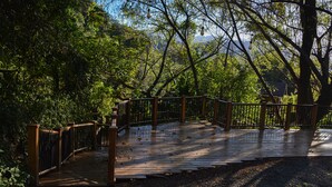 A wooden bridge with metal railings in a wooded area. - Cabañas La Laguna Lodge (Corralillo)