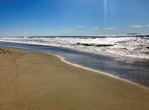 Sun loungers, beach towels - Seahorse Cottage Luxe (Oxnard)