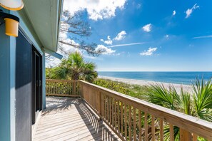 Property grounds - The Manatee House; Unique Beachfront Home & Picturesque Sunsets! (Englewood)