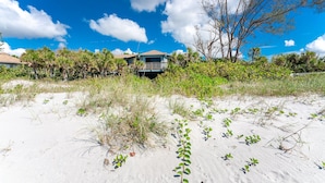 En ejendom ved stranden med hus, sandstrand og palmer.