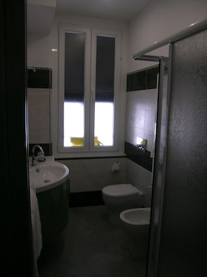 Shower, hair dryer, bidet, towels