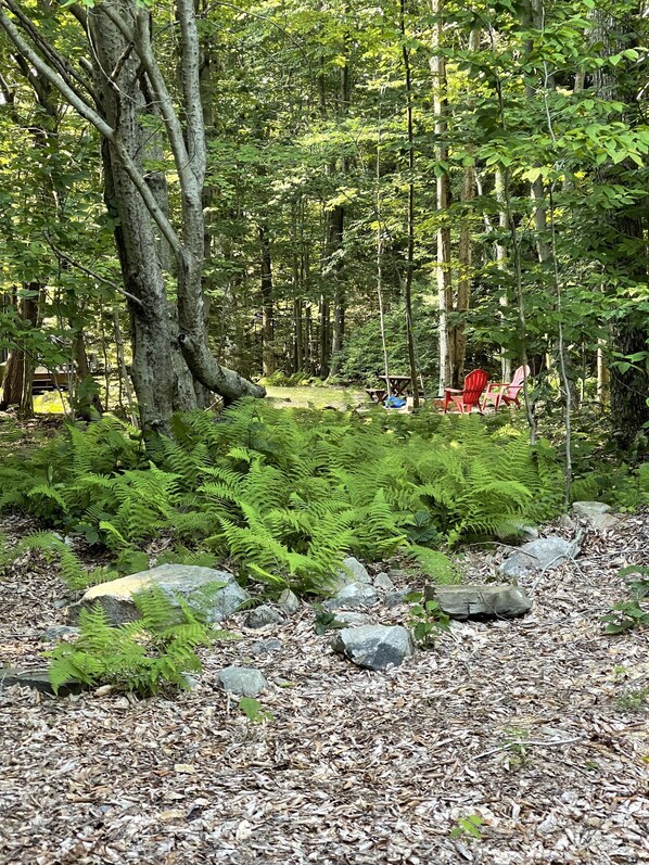 A forested area with a picnic table and red chairs.