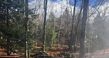 Perfect summer getaway to explore or relax: Spacious/Pet-friendly/3BR cabin!