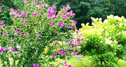 NARROW RIVER GEM: Kayaks, Mins to Gansett Beach, Central AC, Boat Ramp, LOCATION