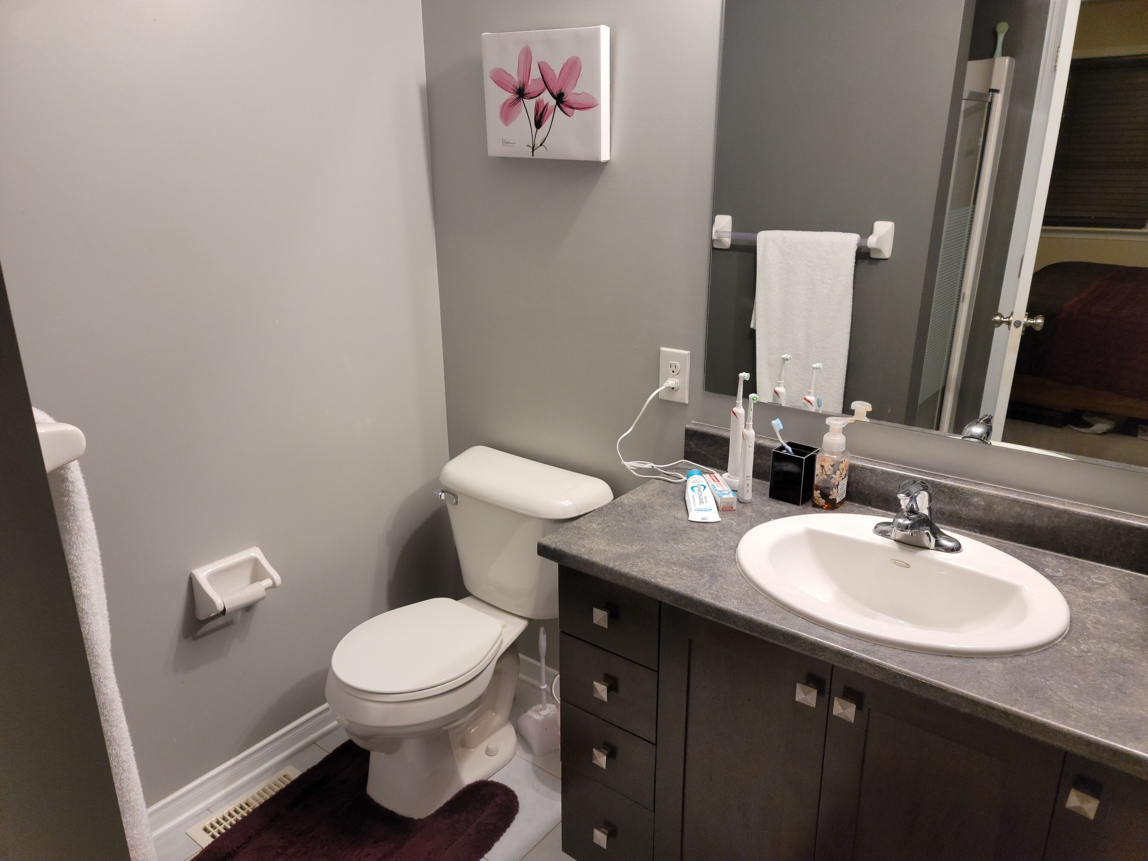 Un baño con inodoro, lavamanos y espejo.