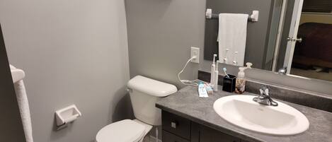 Un baño con inodoro, lavamanos y espejo.