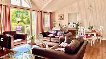 TV connectée, cheminée, lecteur de DVD, livres