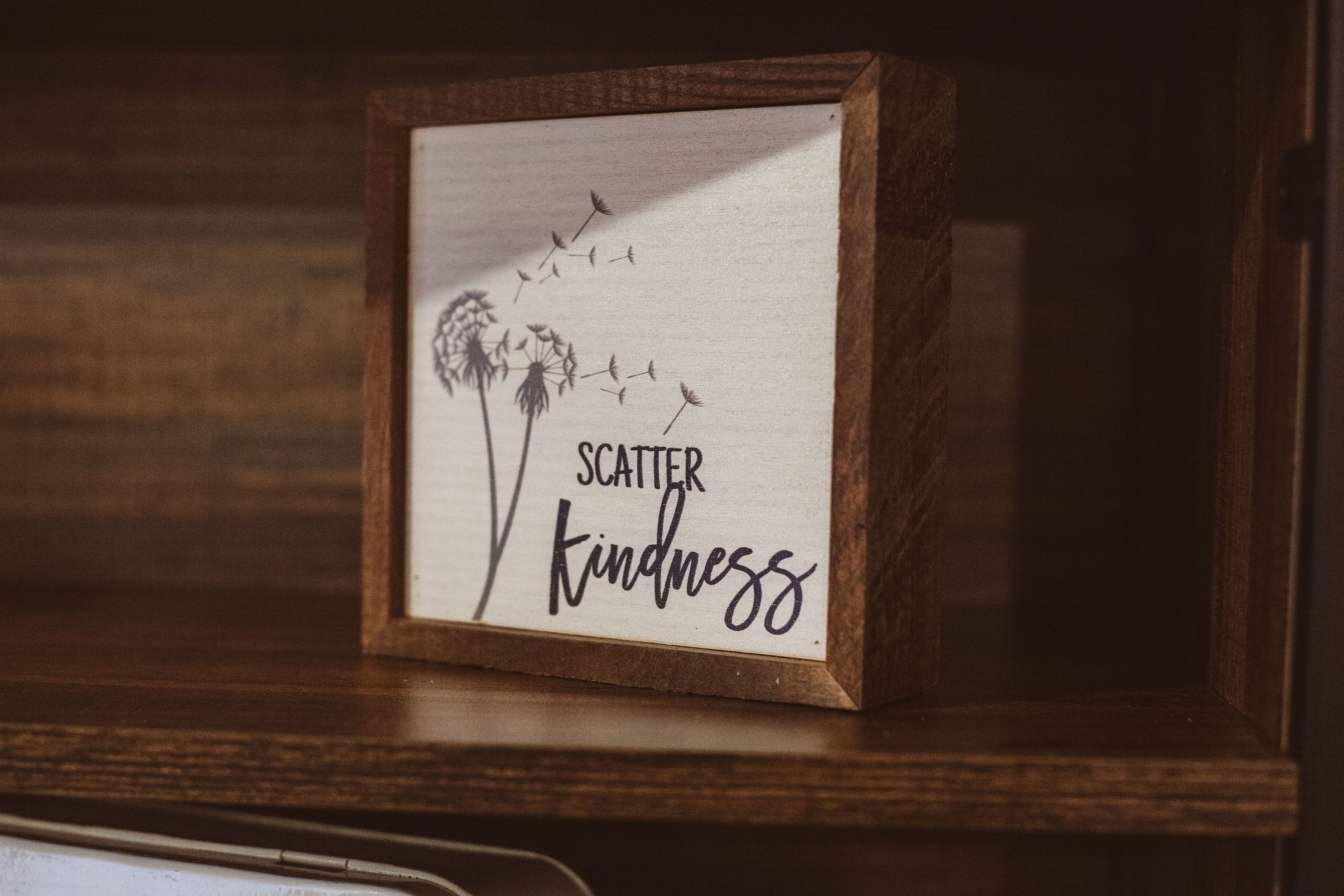 Un marco de madera con una ilustración de diente de león y la frase 'SCATTER Kindness' sobre un fondo blanco.