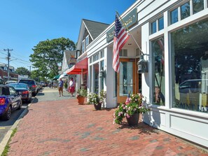 Exterior - Gorgeous Home with Game Room Dog Welcome! (Chatham)