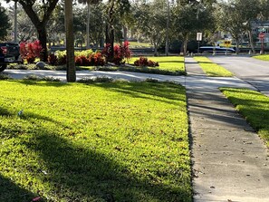 Stroll through this serene urban park, surrounded by lush trees and beautifully landscaped gardens.