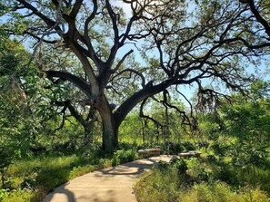 A tree-lined pathway with a concrete bench and a stone structure. - Mini Resort In SA, 3 Master Suites w Heated Pool, big screen & outdoor kitchen (San Antonio)