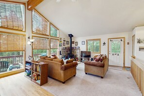 Televisión, chimenea, reproductor de DVD y libros 