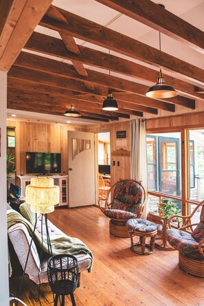 Smart TV, fireplace, DVD player, books
